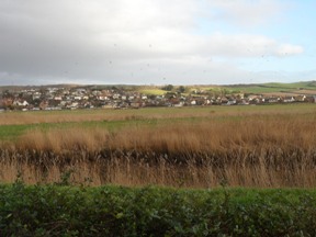 Rossellle view